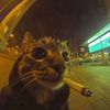 kat.lt
