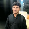 naveed.ali9729