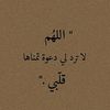 tajalser.yousif