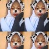 t11kk4qq