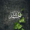 user433600682743