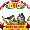 birucoleiros.gru