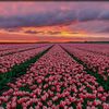 zainabmohamed7698