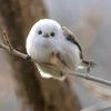 abdallah.ibrahim35