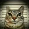 daniel_03eduard.o