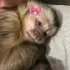 Te amo Lana Del Rey