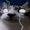 robin_sottecani1trs