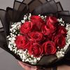 dalidatrky3