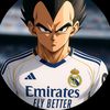 footista_dz