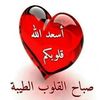 user34671416105528