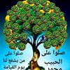 user4181867902775