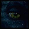 insight_into_crypto
