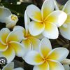 marimar95227