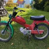 gaper.podlesnik