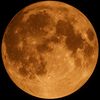 amo.la.astronomia_