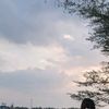 rendi.kiw