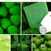 adammostafa1231