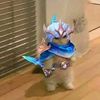 tuvshin_hundaga