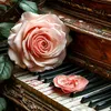 rose.rose1784