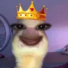 mitche704
