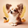 maron.lovelove