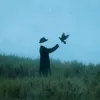 llii5vl
