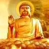 thanh.le3548