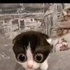 albi.ml0
