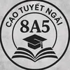 thcsthpttanbang85