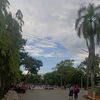 lnwzanahe007