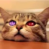 yuri_jir0