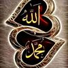 mudassir.khan936