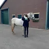 caithlynnkeizer4