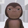rzoooo_