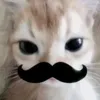 ily_justmeo