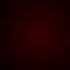 rosa_x4567