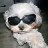 mattyuri2