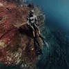 deivid.af1spearfishing