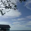indomie_enak_tau