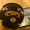 iloveanime337