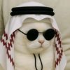 salmanow19