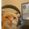 itz_trima0