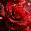 user2531926909287