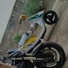 youngbaby588