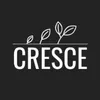 cresce_agency