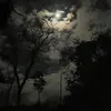 www.tiktok.com.rs1