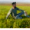 hamo00_1