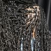 softysbraids