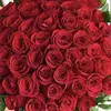 therose0101