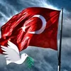 ikbalmdaghi